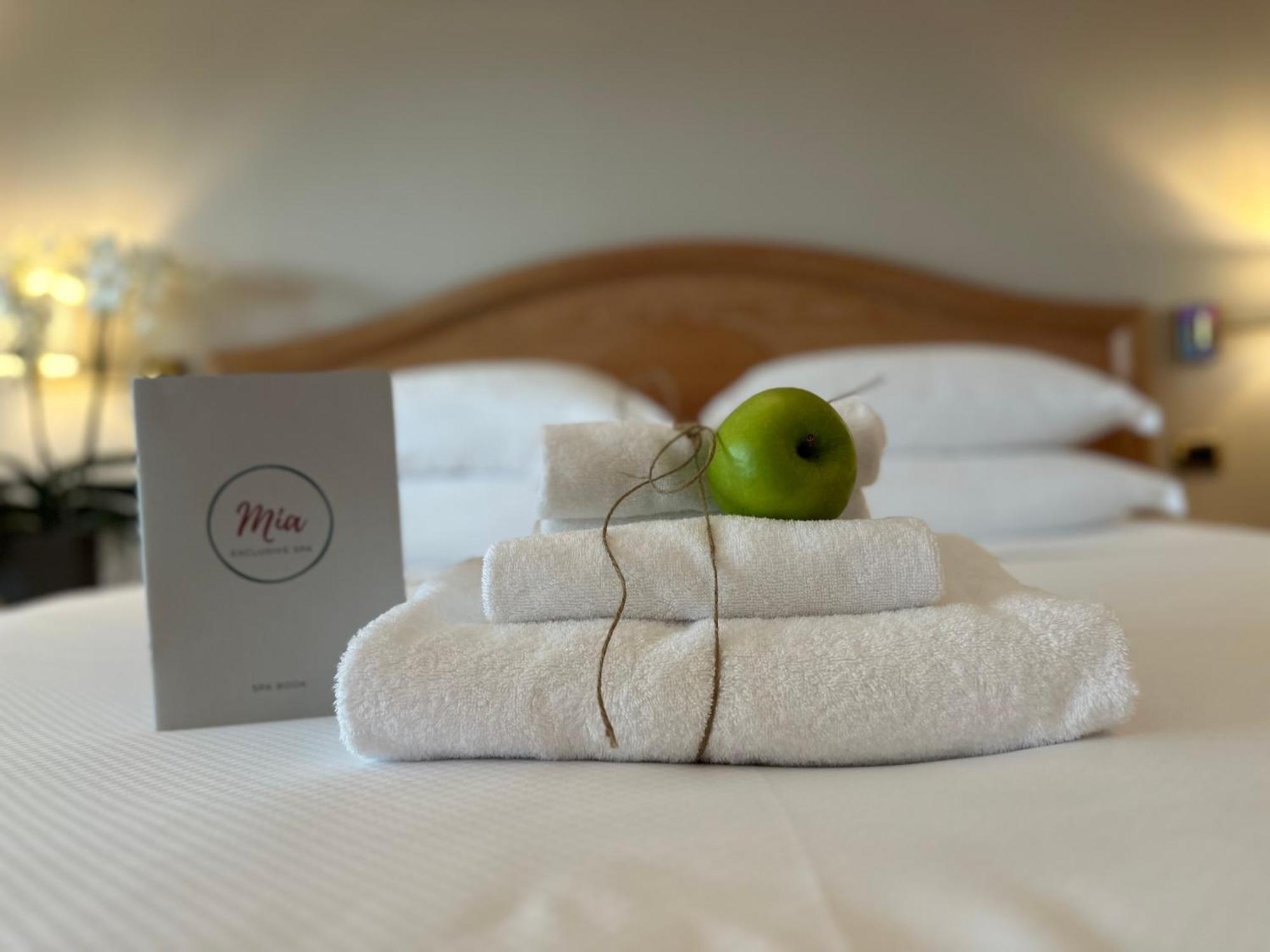 Palace Desenzano Hotel Desenzano del Garda